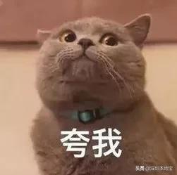 端午节最值得去的地方深圳,端午去哪玩送您一份深圳游玩攻略