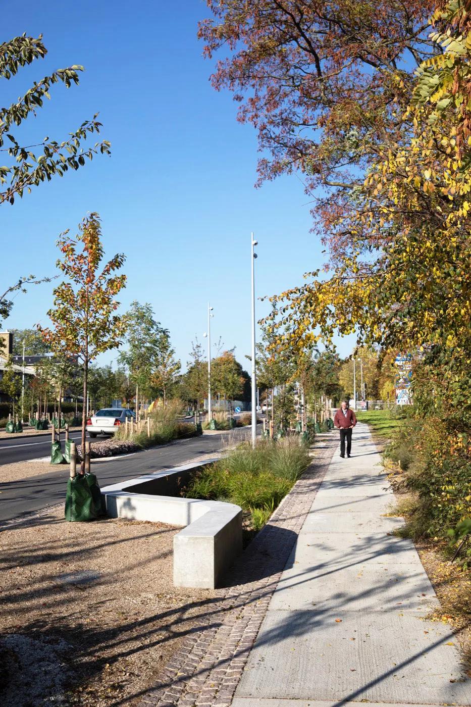 道路设计效果图,个性路面设计