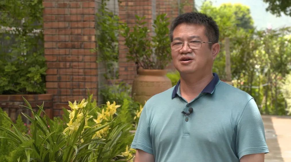 致富经：一株草要价上百万？兰花让我一夜暴富