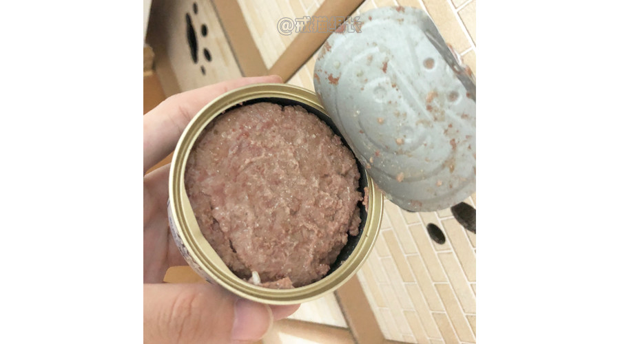 k9幼猫罐头推荐,k9巅峰猫粮