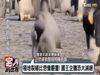 地球5年后的大灾难,地球病了会好起来吗