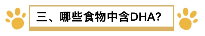 孕期dha什么时候补,孕期有必要补DHA吗