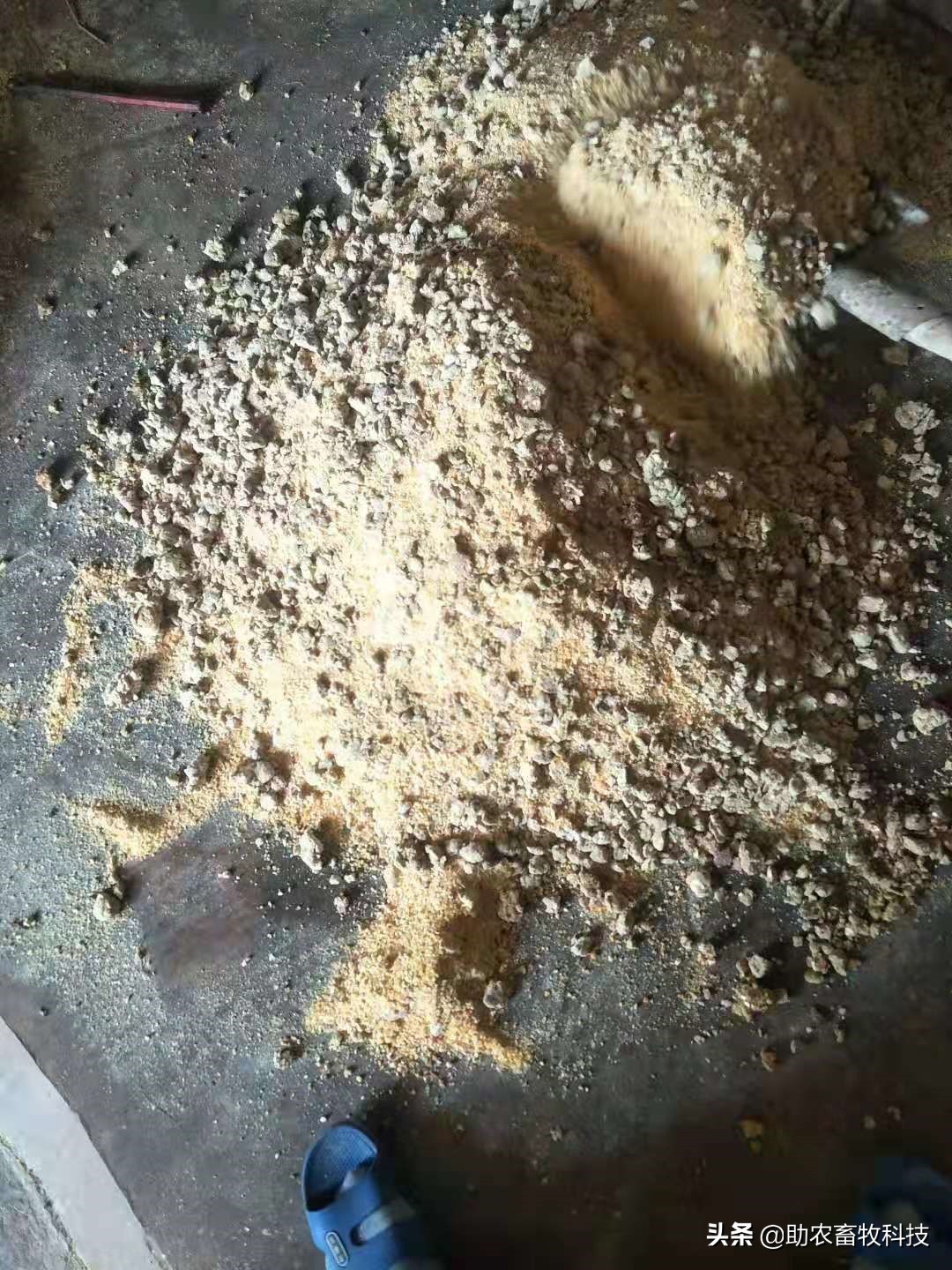 坏鸡蛋扔掉,快过期的鸡蛋怎么大批量处理