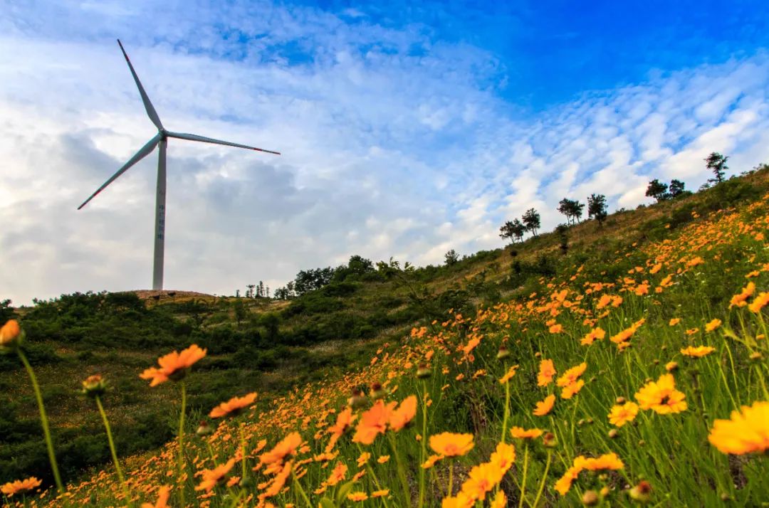 风电和光伏发出的都是直流电吗,风电与太阳能每发一度电的成本