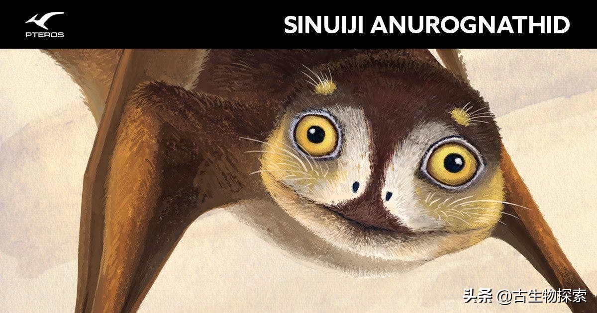 缈奸緳鍊掓寕鍗婄┖,缈奸緳鍊掓寕