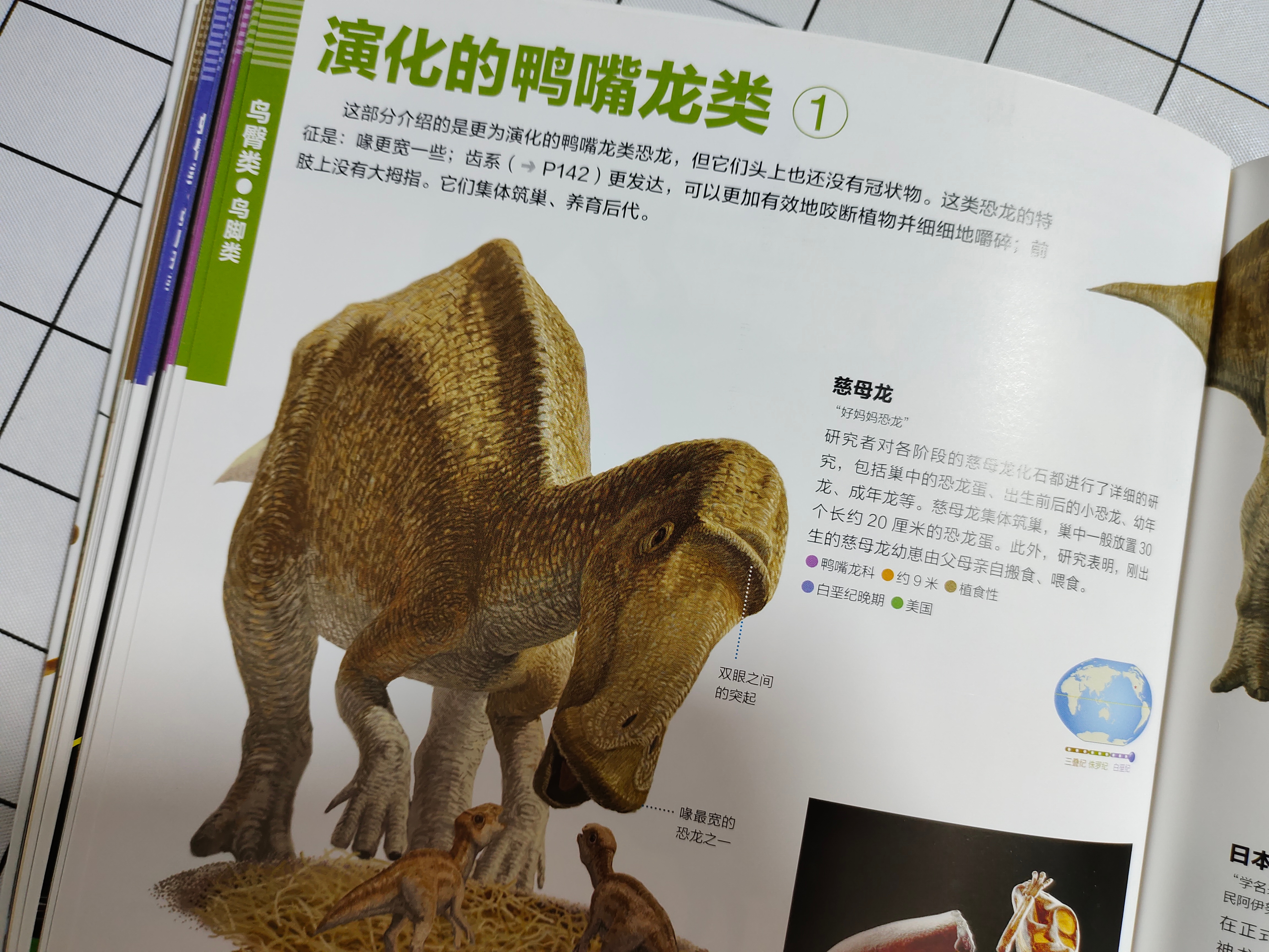 世界上知识点最全的恐龙百科全书,恐龙百科全书恐龙世界的无穷奥秘