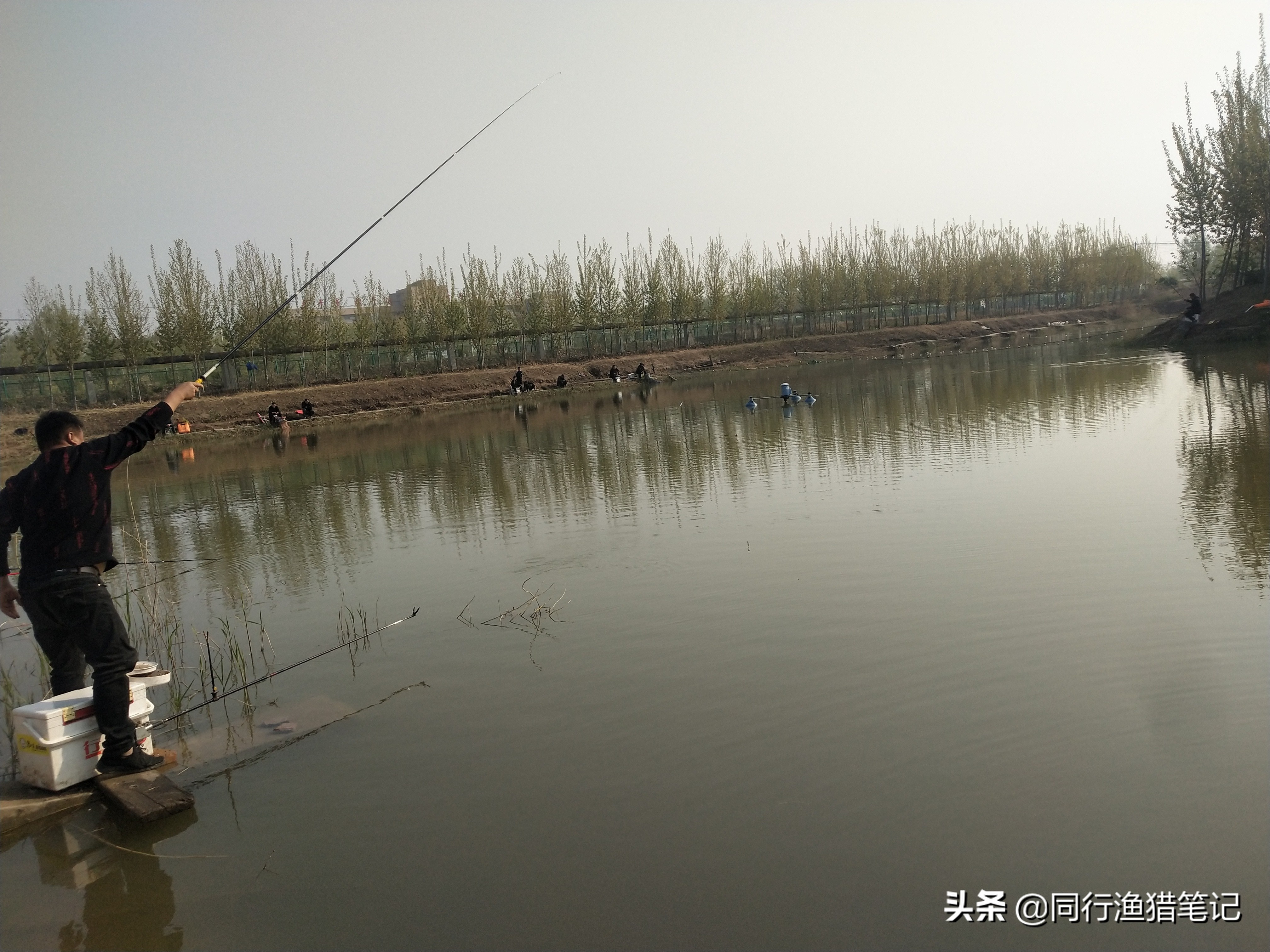 看不到鱼口却中鱼怎么解决,早上傍晚鱼不开口怎么回事