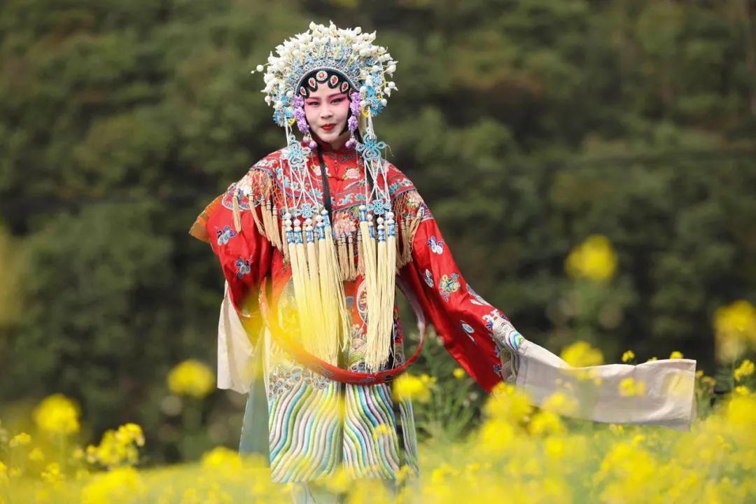 婺源油菜花节,2023婺源油菜花节