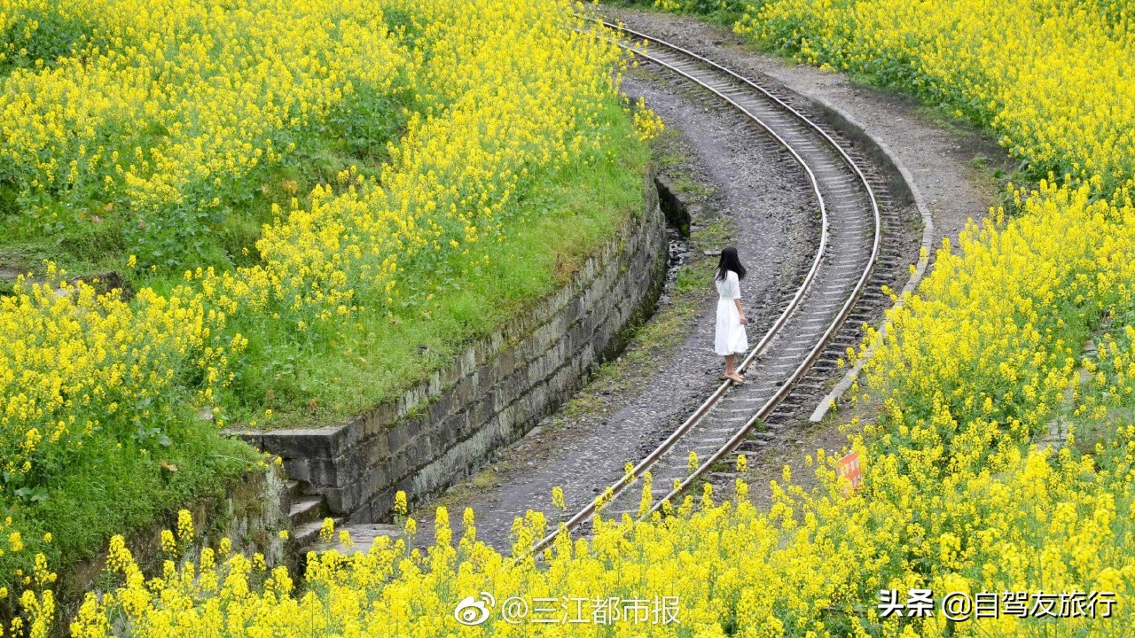 8月最佳旅行地推荐自驾游,4-5月份最佳的自驾短途旅行