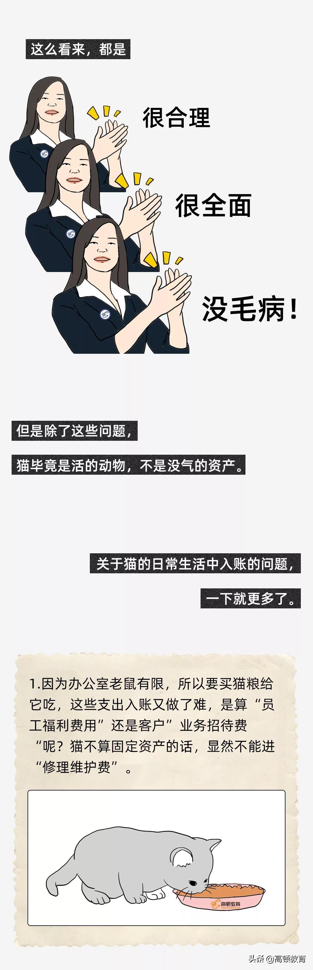 公司养了一只猫怎么记账,公司买的猫怎么入账