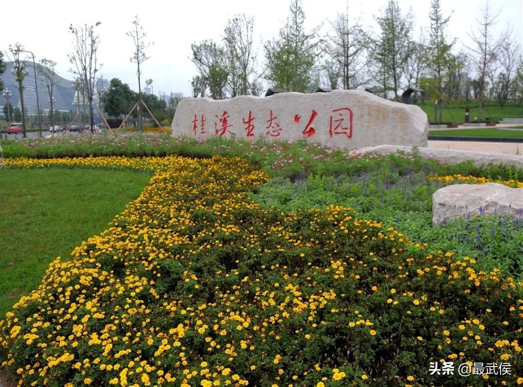 3月底天府绿道哪段最美,天府绿道彩色油菜花