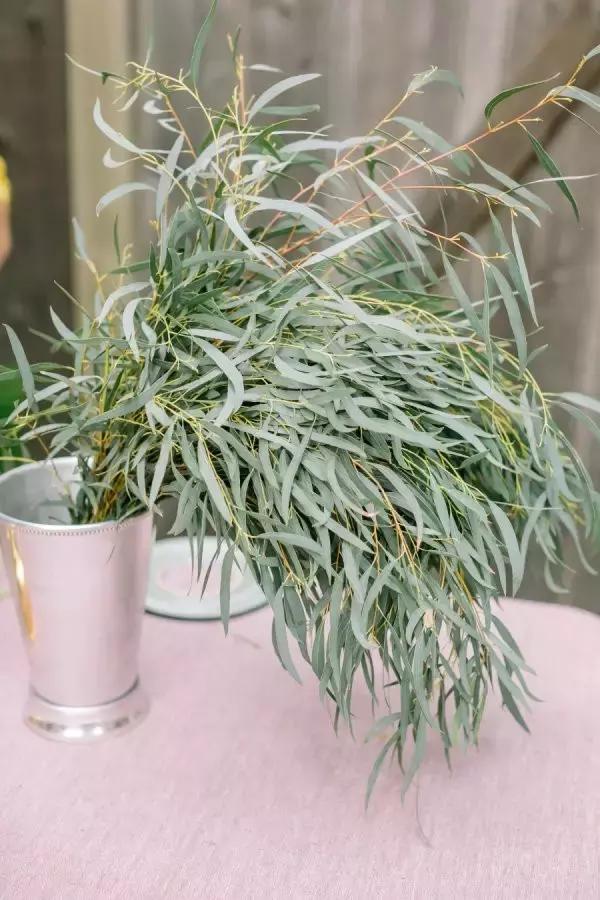 矿泉水瓶手工制作花瓶插花,怎么自己动手做插花瓶