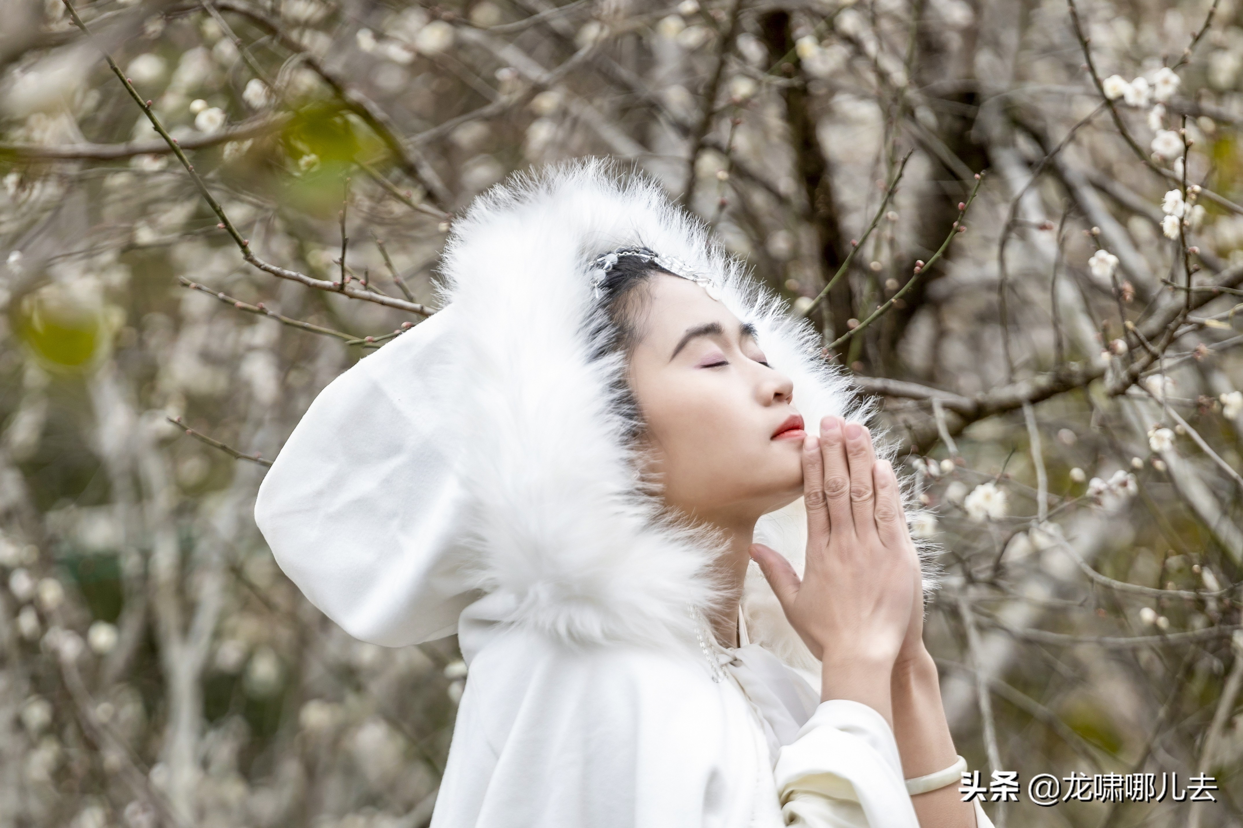 梁化梅园梅花观赏最佳时间,惠州梁化梅园看梅花时间