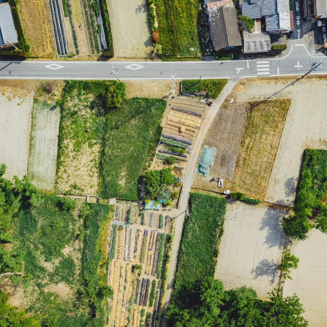 日本有过革命史吗,日本有过什么革命