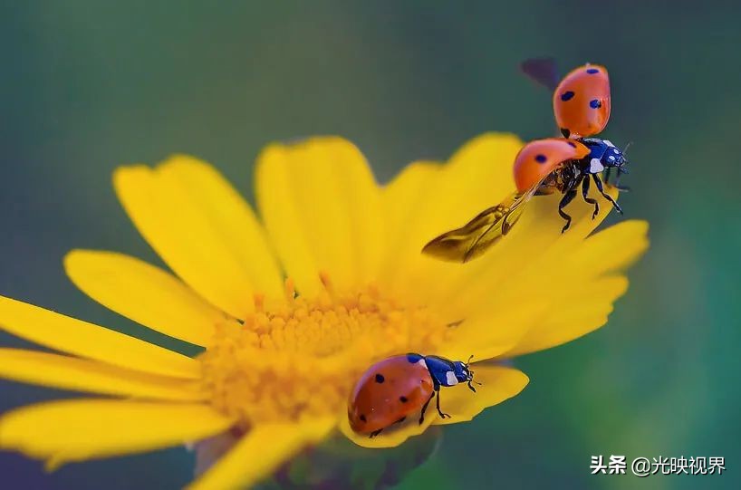 捕捉你的瞬间视频,捕捉惊艳的瞬间