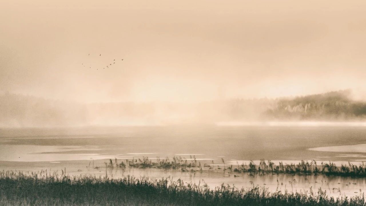 27首经典古诗,27首经典古诗词一开头就让人惊艳