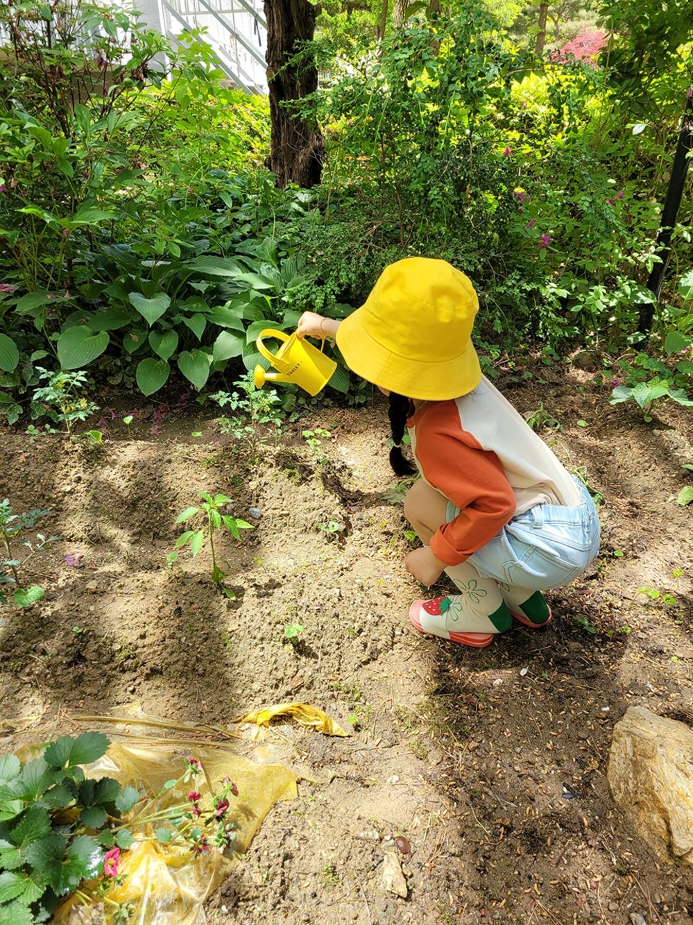 两居室这样装修清爽干净无负担,两套房子打通后装修效果
