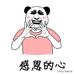 电脑固态不能分区？处理器频率还得自己设置？电脑小匠帮你辟谣！