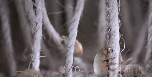 床垫除尘除螨虫多少钱,床垫螨虫怎么彻底消灭