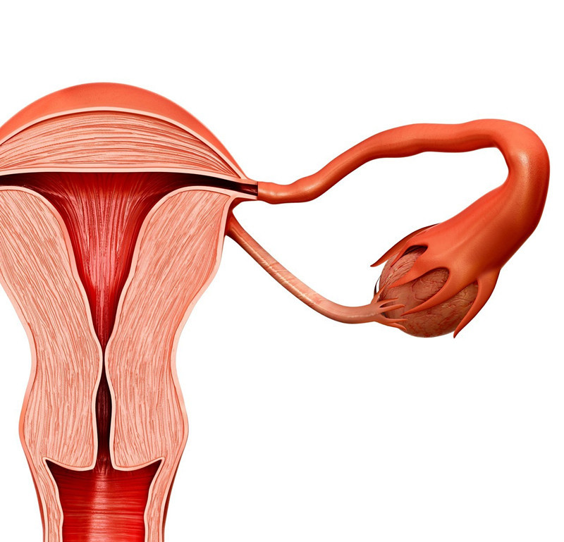 小腹长了个肿瘤需要手术吗,隐私部位长肉瘤是子宫癌的表现吗