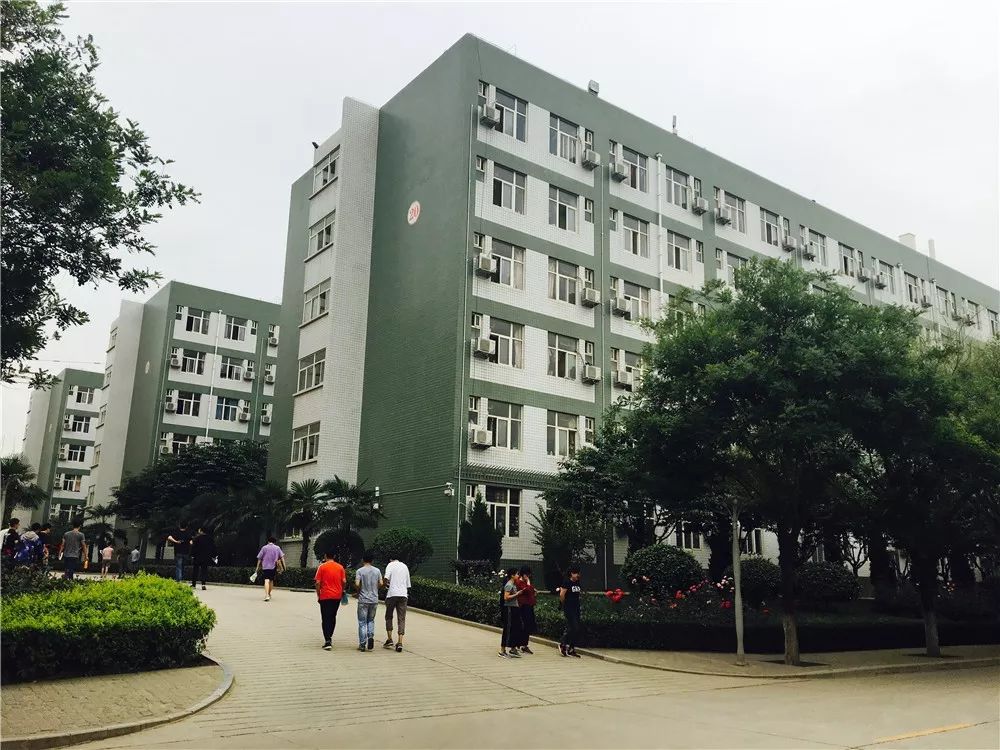 在培华，我4年胖了10斤！食堂是减肥路上最大的绊脚石