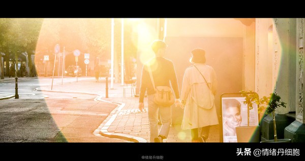 可以去玩一整天的地方,能玩一两天的地方