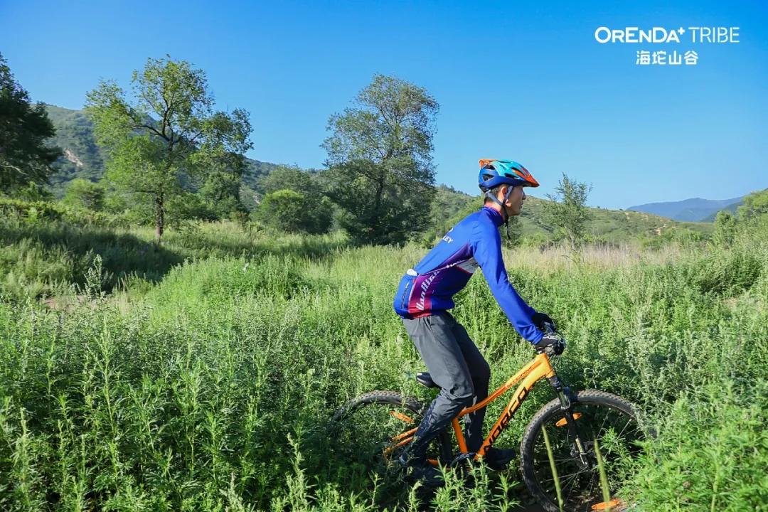 回望2020海坨耕耘路,以待2021山谷新美好