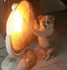 开启反弹模式的表情包,劈酒反弹表情包