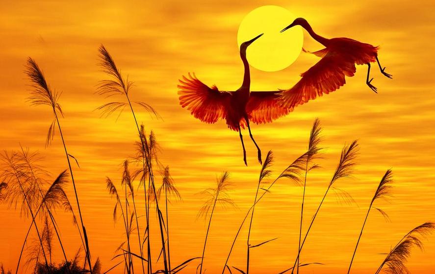 期货交易真的和赌博没区别吗,期货交易和赌博有啥区别