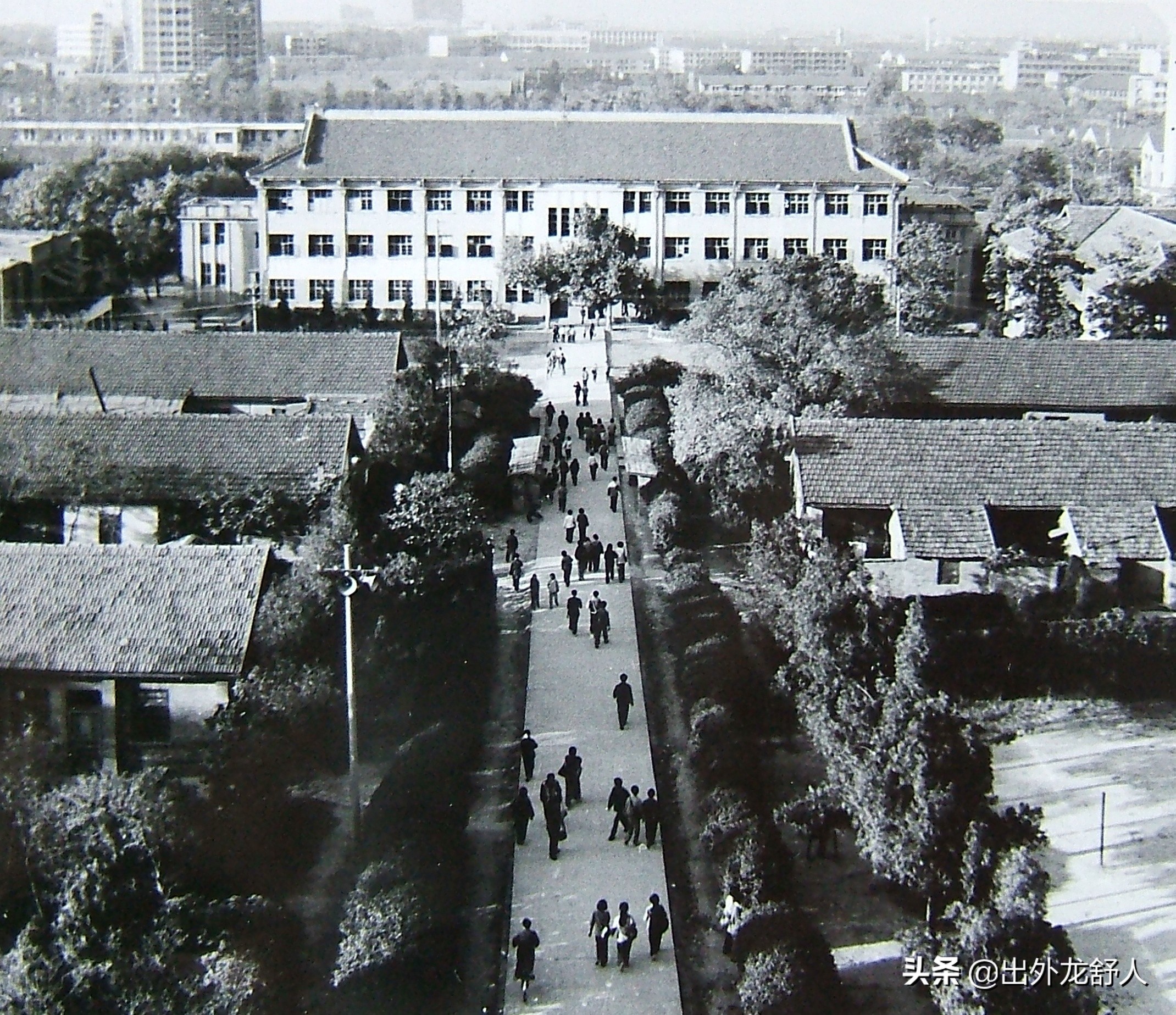 安徽合肥：一里绿荫曙光路，甲子记忆老二中