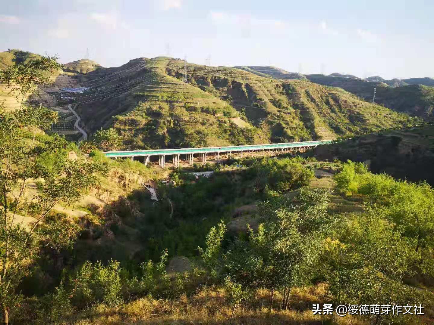 风雨兼程中的郝家桥