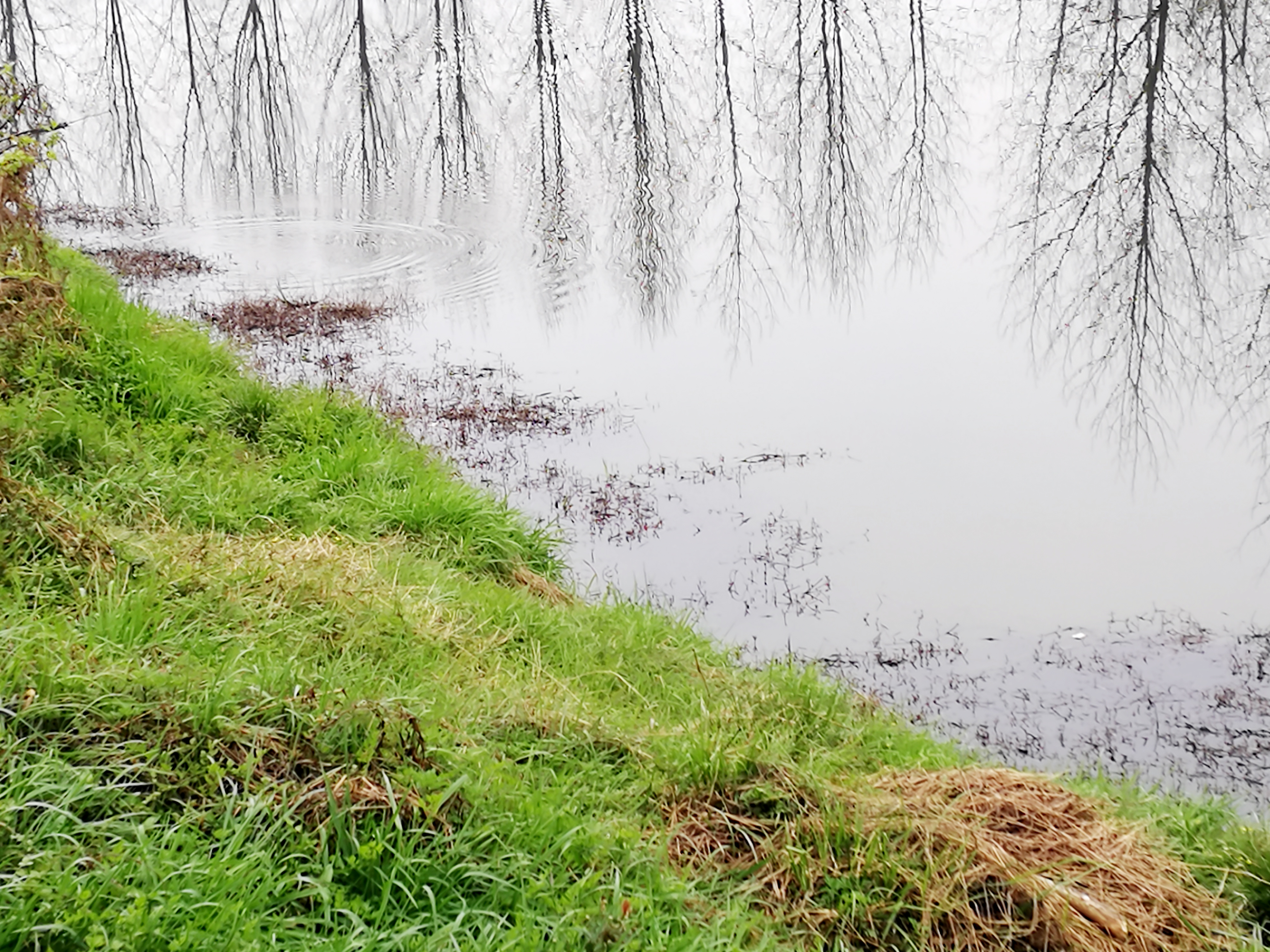 怎样钓黑鱼最好方法,黑鱼垂钓技巧