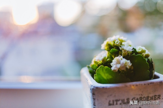 随喜｜수희（隨喜）