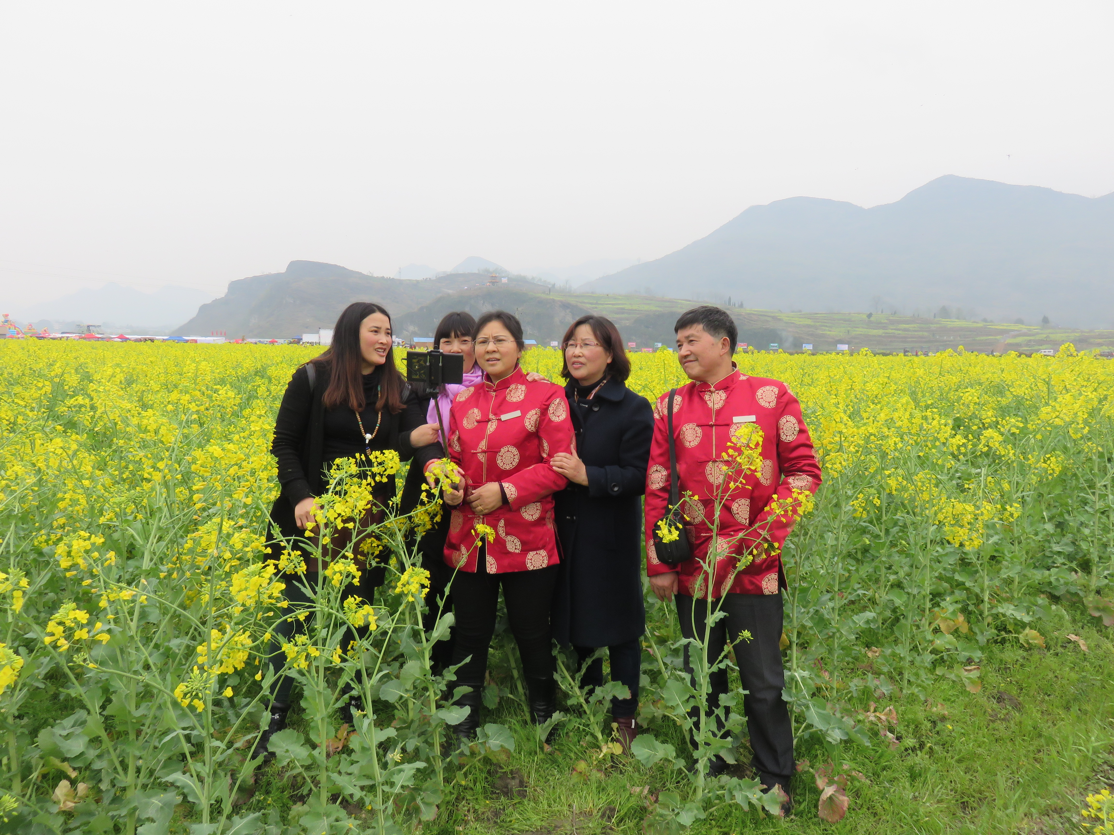 清溪龙凤花海玫瑰之约,秀山县清溪龙凤花海