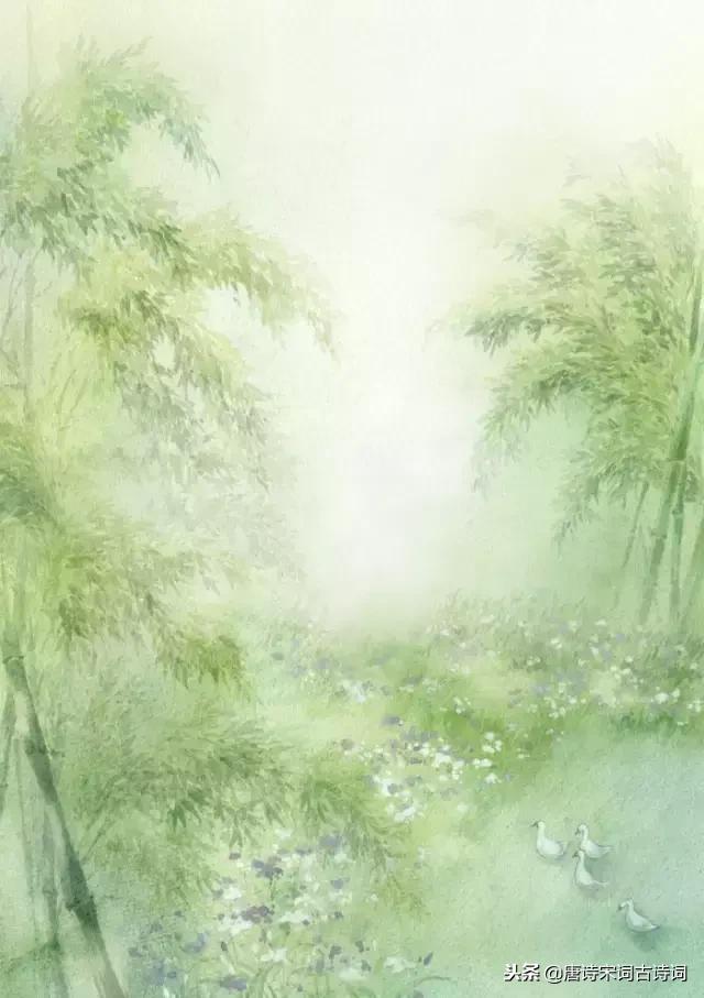 年少不懂这些诗，待到懂时已惘然