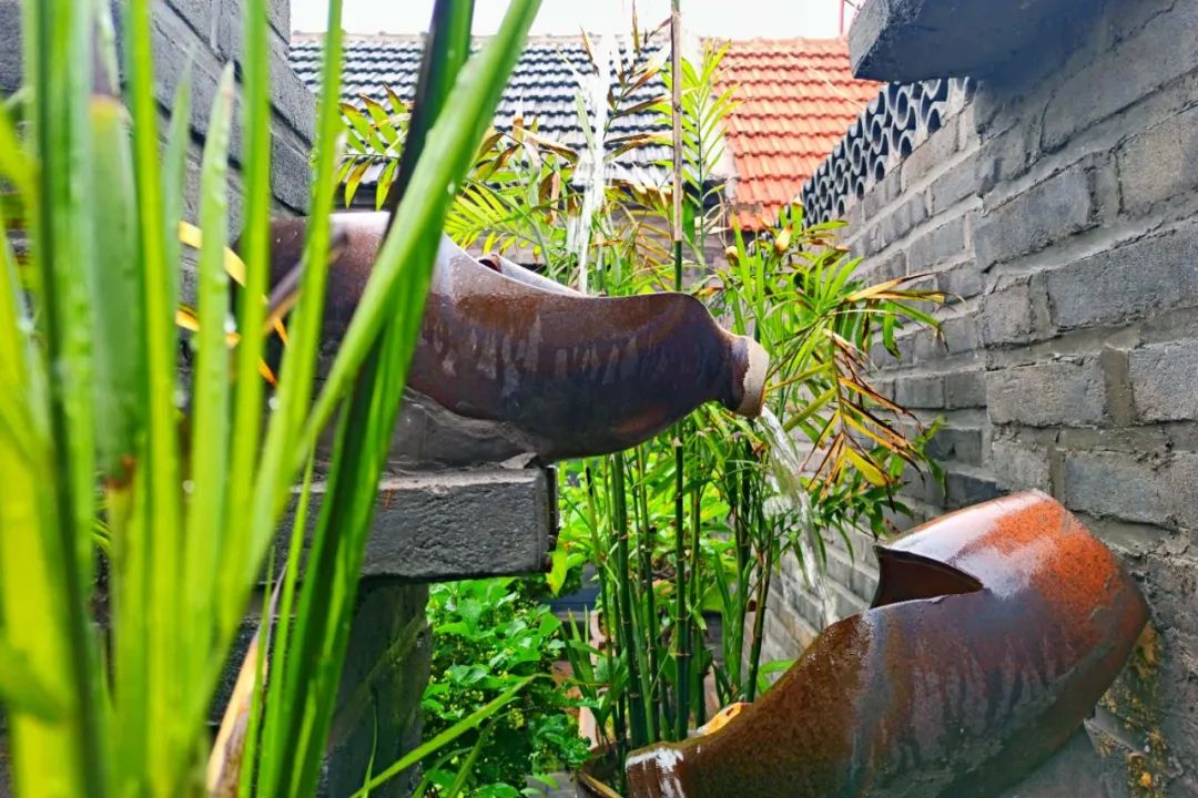 种草一个被遗忘的小岛，背山靠海，拥有山东最美的“童话屋”，美到窒息！