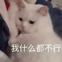 19万人看男生玩编织?从非洲弃婴到全美偶像,11岁男孩用6年逆袭人生...