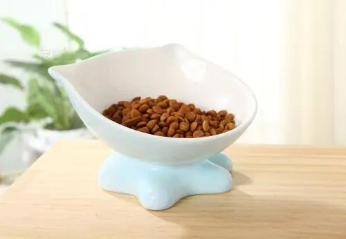 养宠干货|养猫，全方面知识值得一看