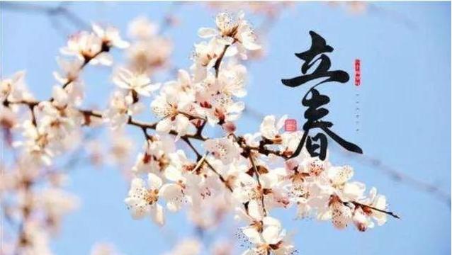 文联精选作品,文艺作品展播获奖