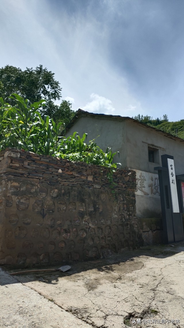 我和悬崖村的故事,我和北京小说