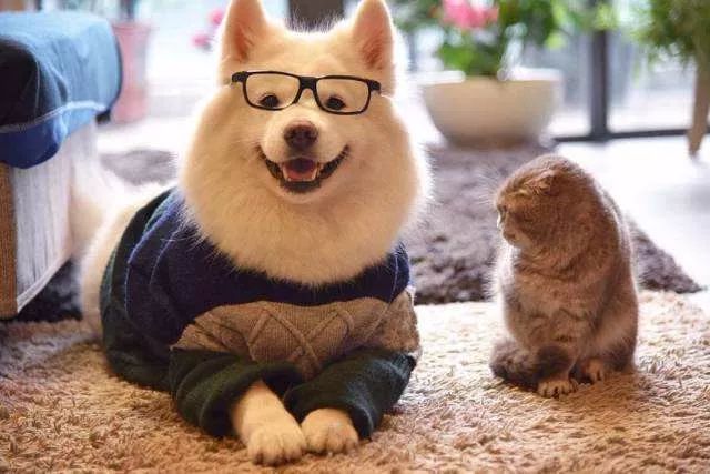 嗨吃嗨玩美食,嗨吃嗨玩的一天