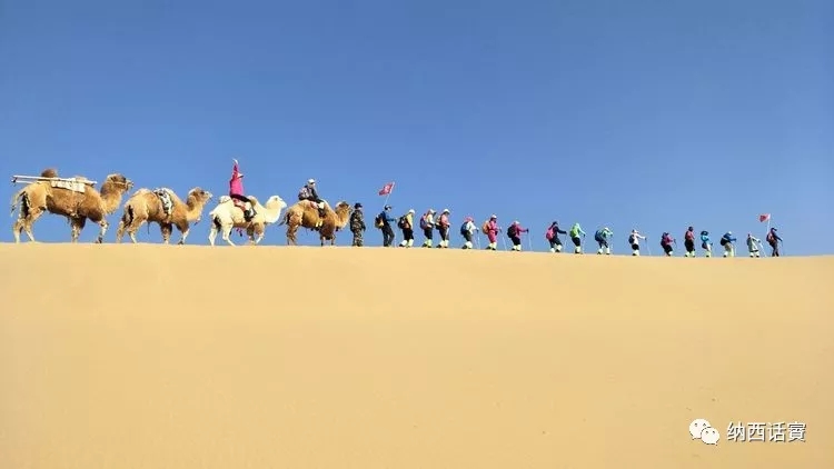 叶紫被雷劈穿越到异界,关于叶紫的穿越小说