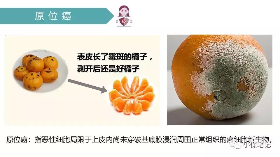 保险技能培训,保险专业知识培训视频