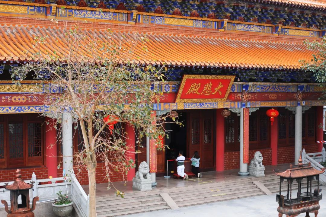 超灵验的姻缘福地！离广州深圳不到一小时，踏青赏花祈福康养首选