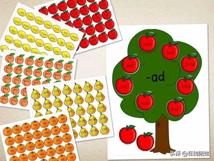 外教老师英语单词速记法,外教单词归类快速记忆法