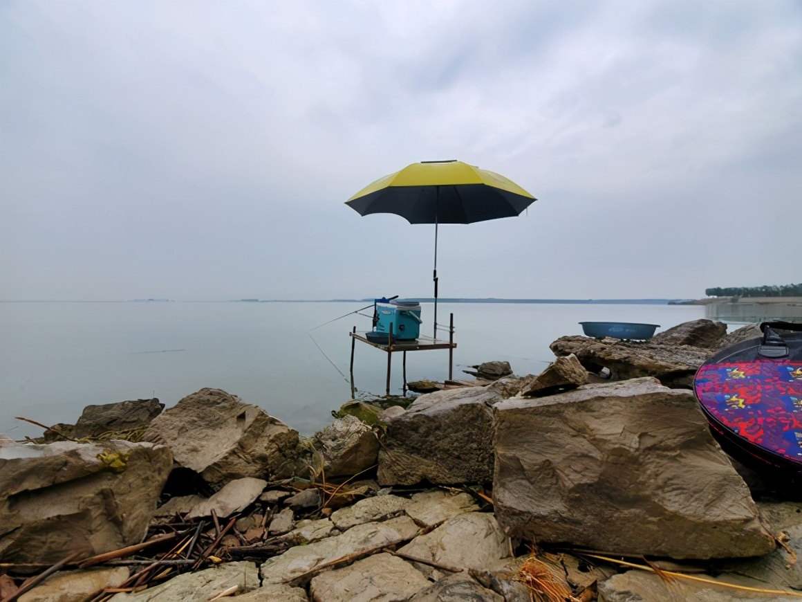 钓鱼犯法的11个禁忌,哪些方法钓鱼违法