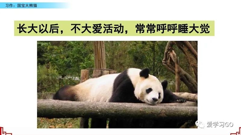 部编版三年级下册国宝大熊猫作文,三年级下作文国宝大熊猫写作指导