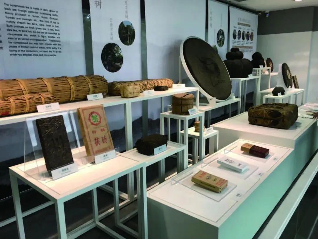中国茶叶博物馆要预约吗,中国茶叶博物馆茶友会