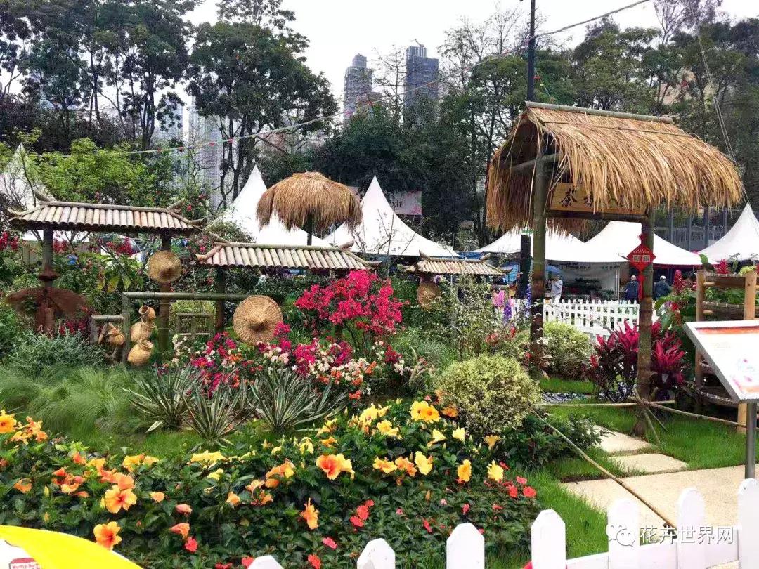 香港花卉艺术展,共赴盛会活动