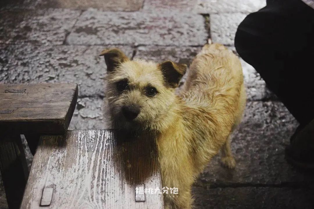 王宝强吃面道士下山,道士下山吃面图片